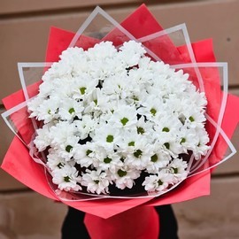 Букет из ромашковой хризантемы