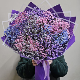 букет гипсофил