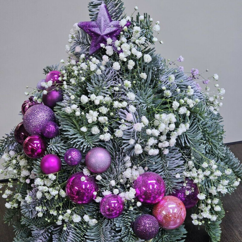 yolochka iz nobilisa v sirenevom tcvete, standart