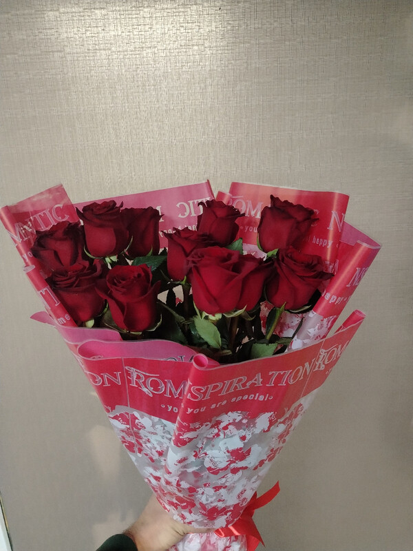 Roza eksplorer, 11 roz eksplorer