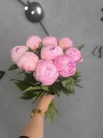 Buket rozovih aromatnih pionov