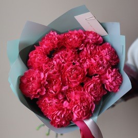 Малиновое облако