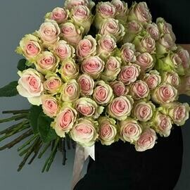 51 roza rozovaya Ekvador