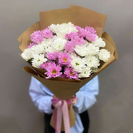 9 кустоввх хризантем микс