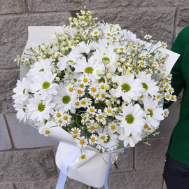 Hrizantema s romashkoj