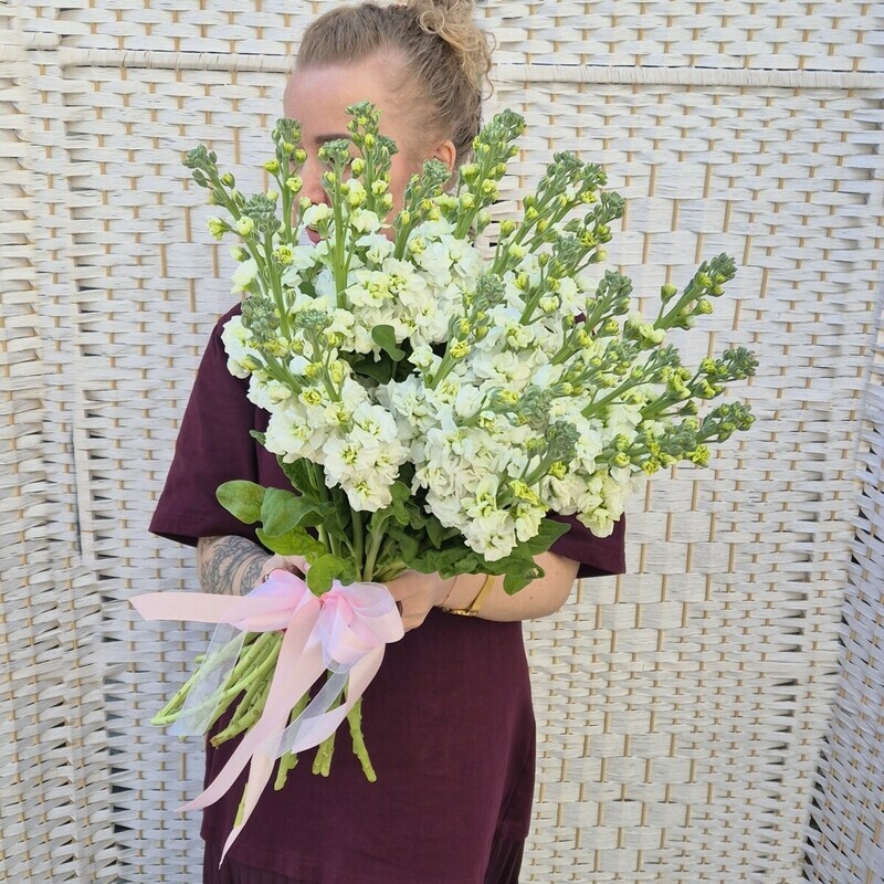 Ароматный Март, премиум