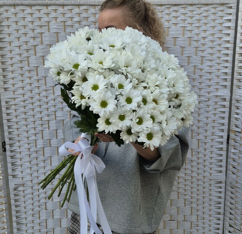 Хризантема кустовая под ленту, премиум