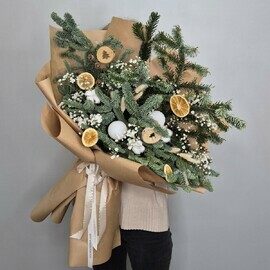 Волшебство хвойного леса