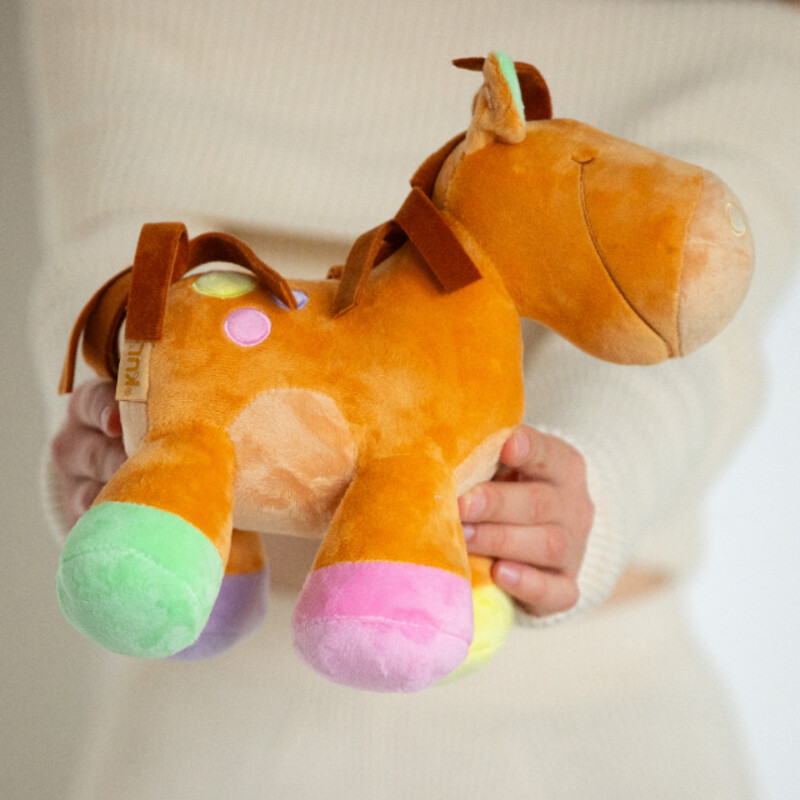 Лошадка Тоня , лошадка "тоня" 