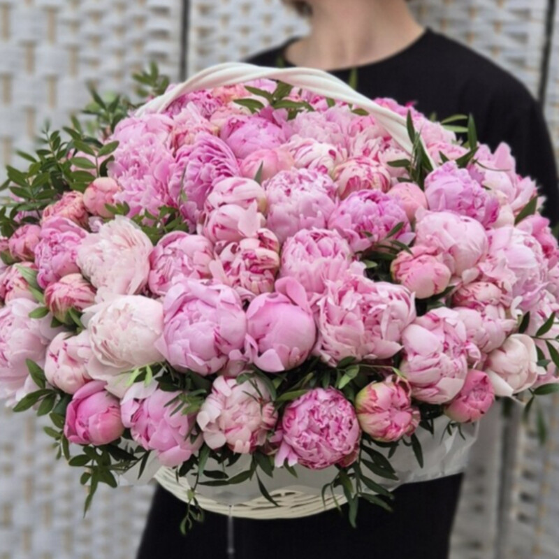 Basket 101 peonies , standart