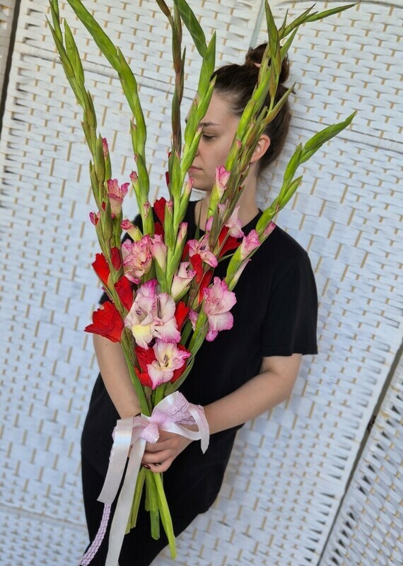 Gladioli Mix, gladiolusi miks