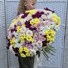 Chrysanthemum bush mix
