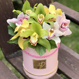 Cylinder with orchids mix