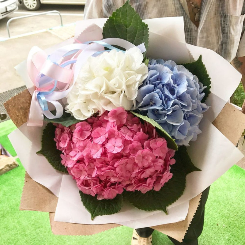 Bouquet of hydrangeas, standart