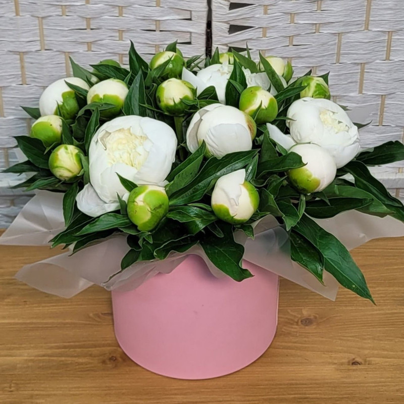 White Cloud, standart