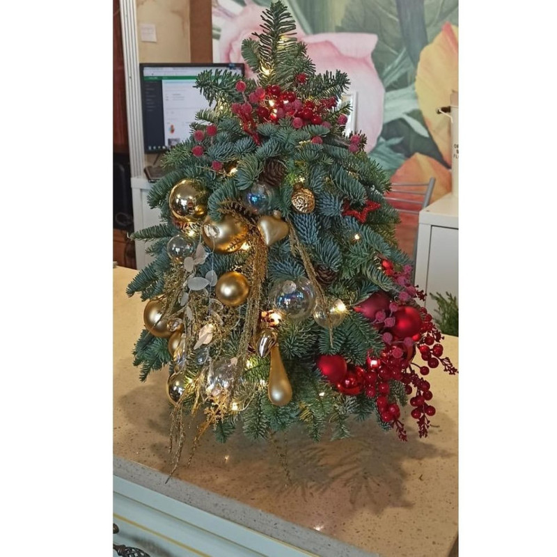 S Novim godom, standart