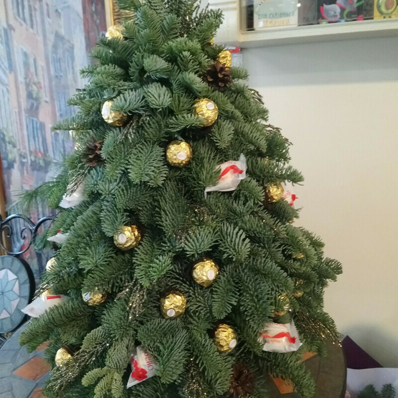 Elochka Roshe, standart