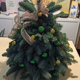 Novogodnyaya radost_