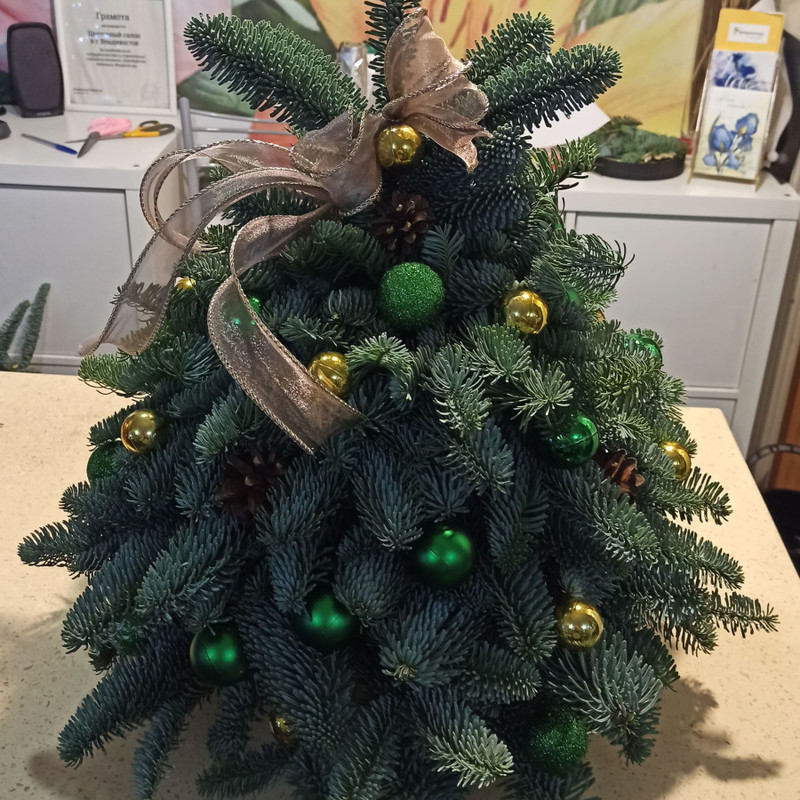 Novogodnyaya radost_, standart