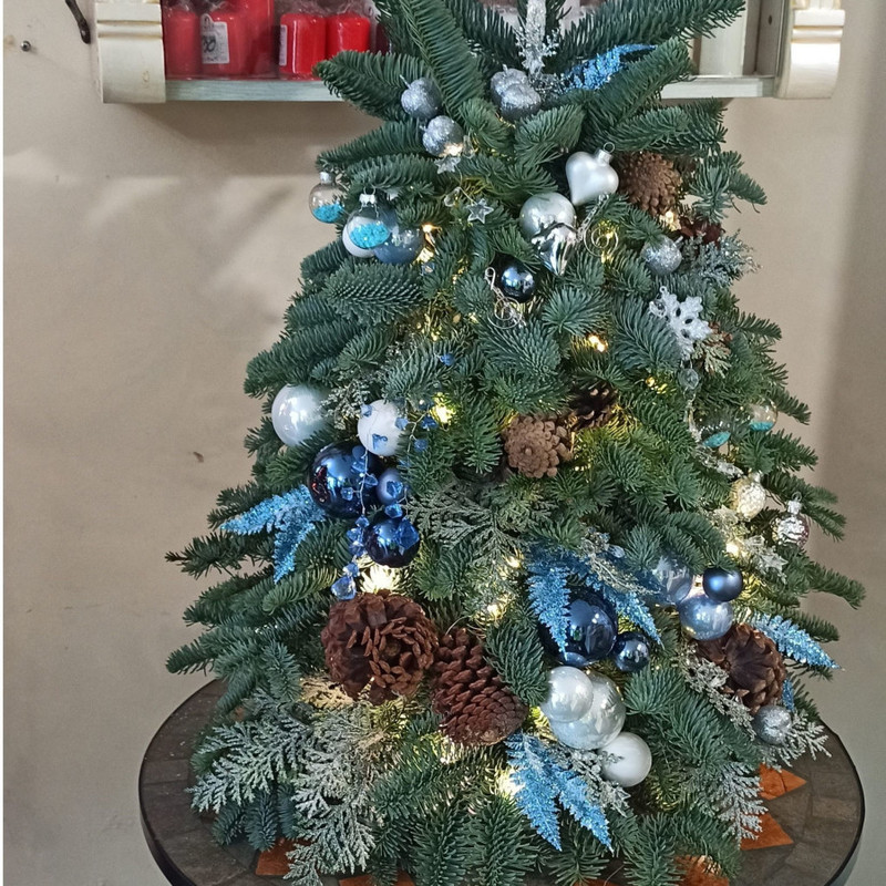 Елочка ГОРИ!!!, стандартный