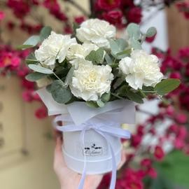 Diantusi s evkaliptom v shlyapnoj korobke