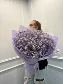 Monobuket iz 9 gipsofil