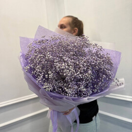 Монобукет из 9 гипсофил