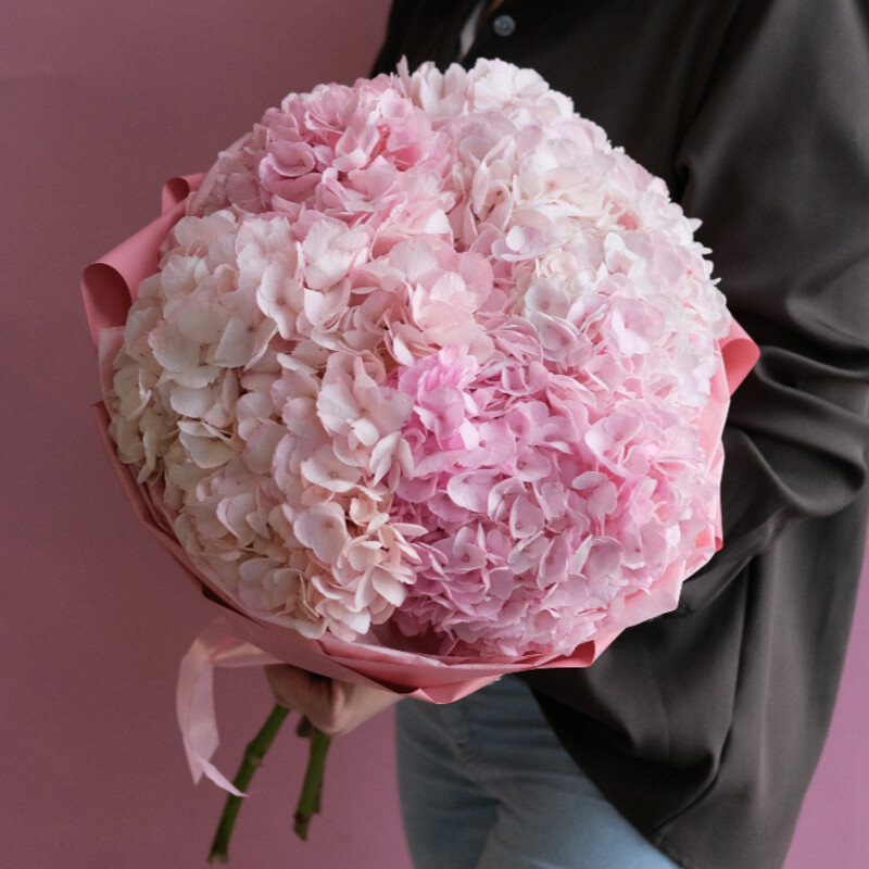 Монобукет из 5 розовых гортензий, стандартный