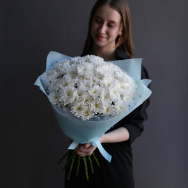Monobuket iz 11 hrizantem Altaj