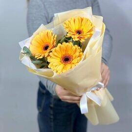 краски лета 