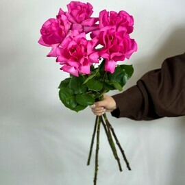 Вечно прекрасный 