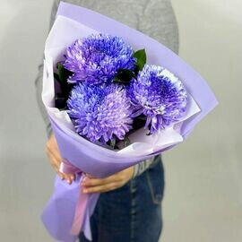 Тысяча и одна история 