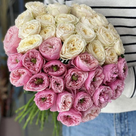 Крольчонок