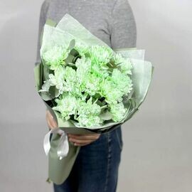 Сияние луны 