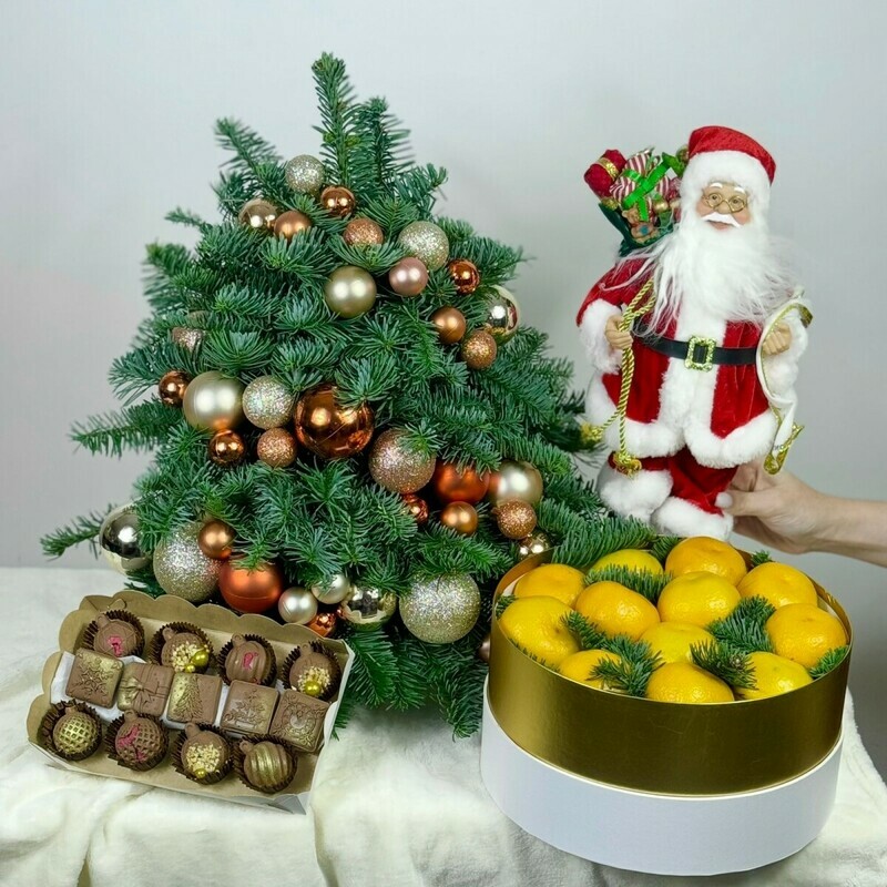 «Teplaya zima», luxe