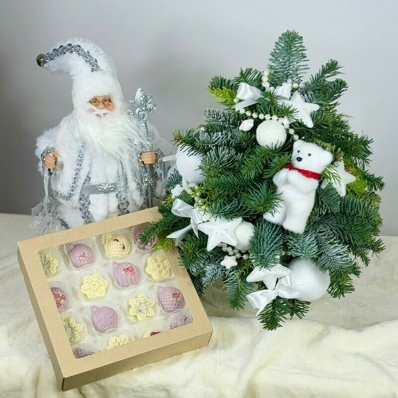 «Novogodnyaya Mechta», premium