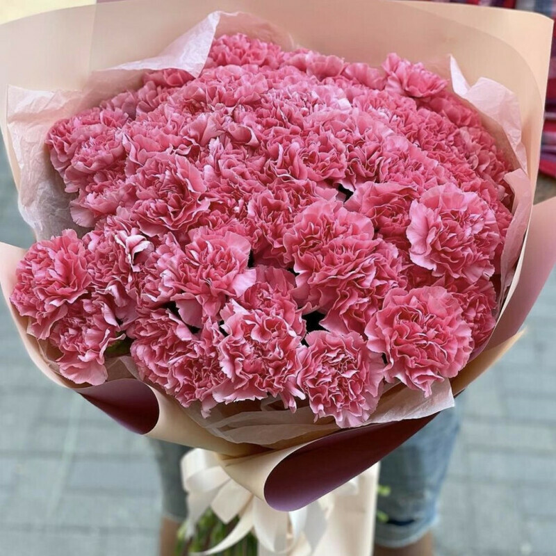 Barhatnoe nebo, standart