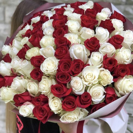 101 Роза Микс