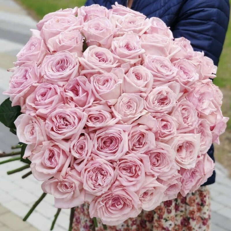 Диез, стандартный