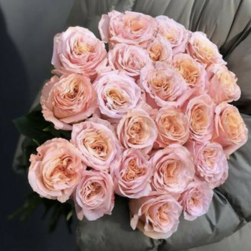 Мальта, стандартный