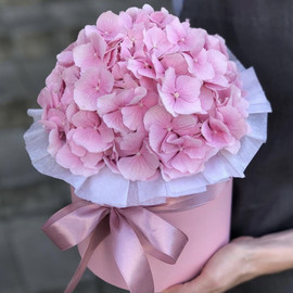 Розовая мечта