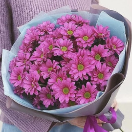 Свежий день