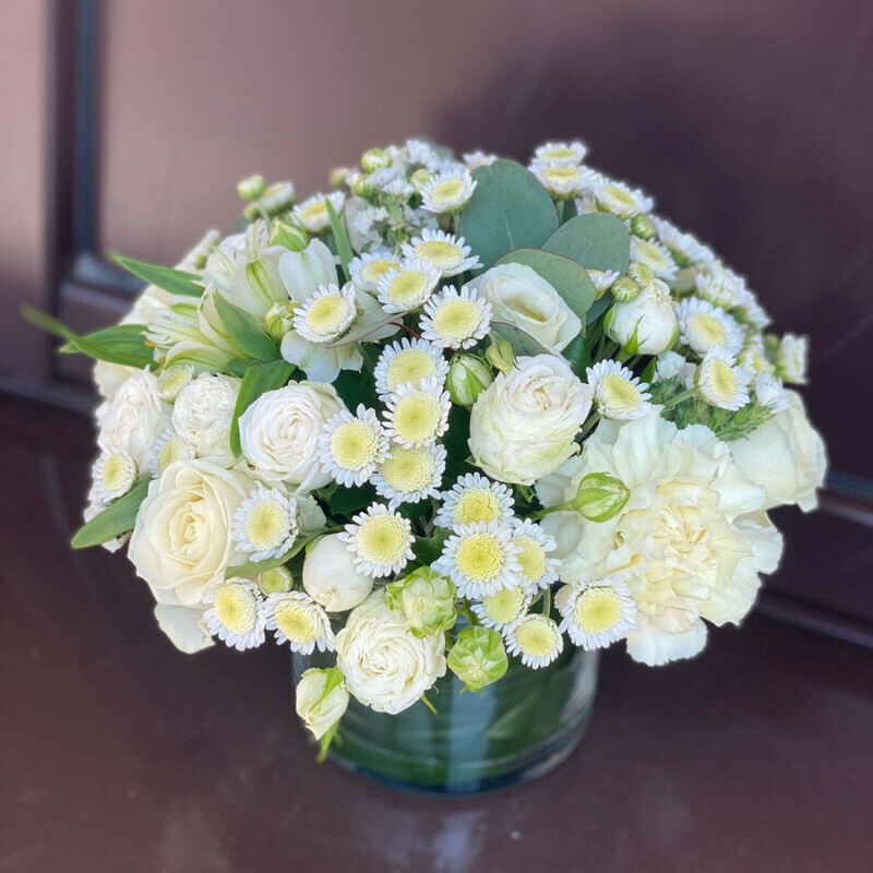 Свежесть нового дня, стандартный