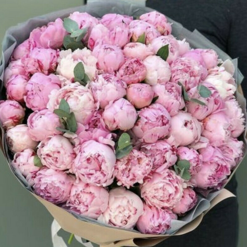 55 Пионов, стандартный