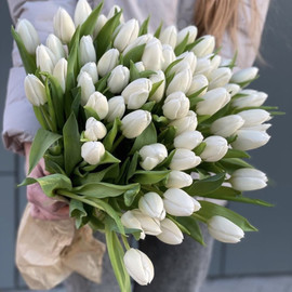 Летний дождь.