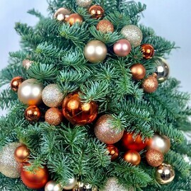 «К нам приходит новый год и подарки нам несет»