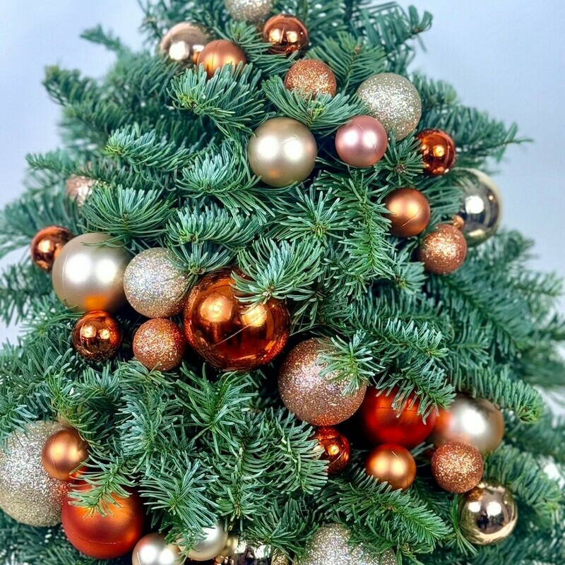 «К нам приходит новый год и подарки нам несет», стандартный