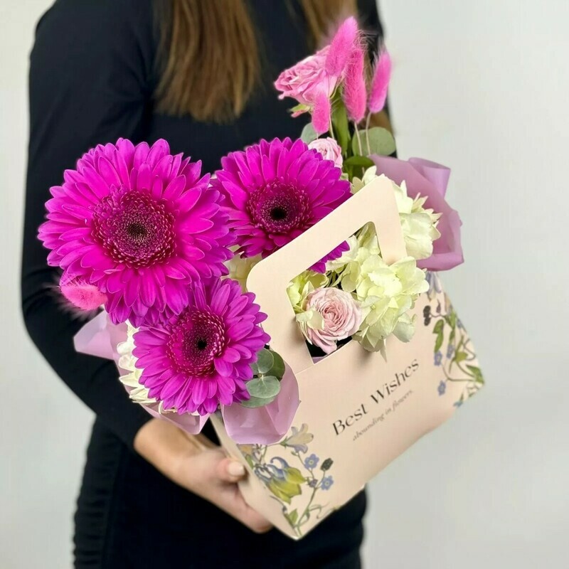 YArkaya gerbera, standart