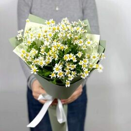 Коллаж из чувств 