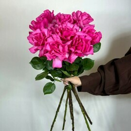 9 rozovih frantcuzskih roz